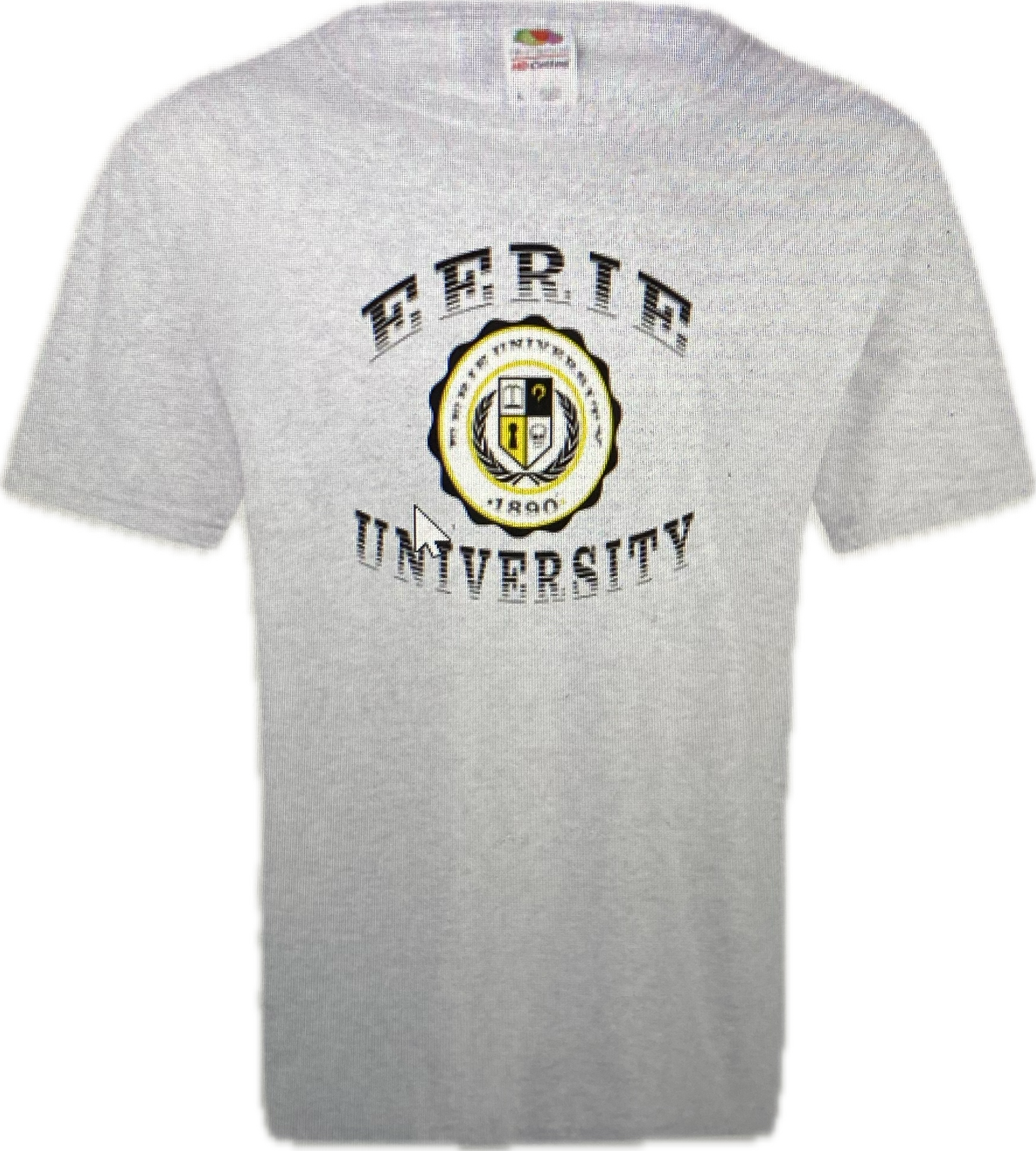 Eerie University T-Shirt - Heather Gray